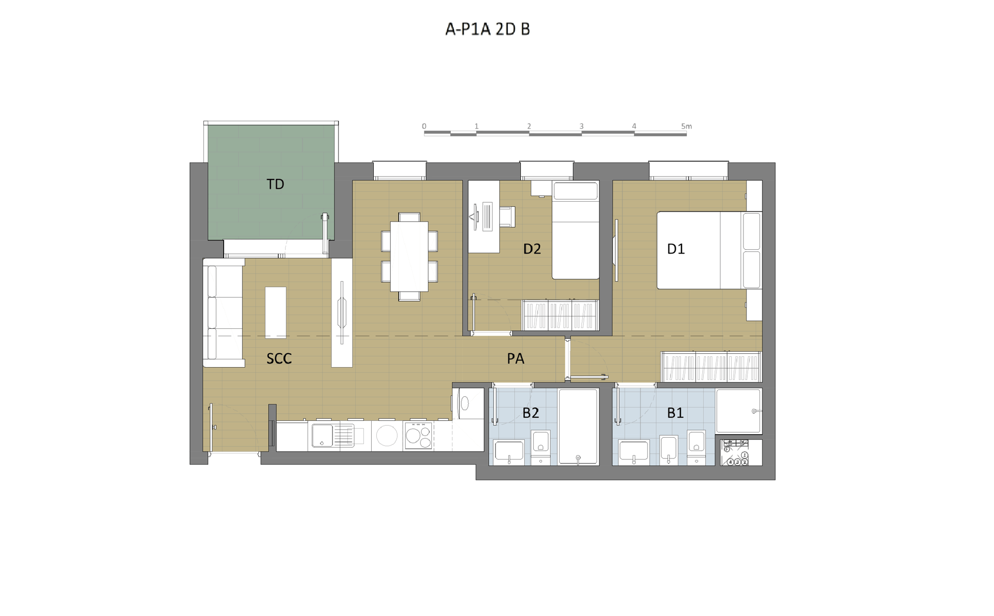 A-P1A-2D-B