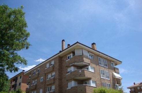 DSC03409-1-492x324