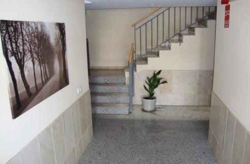 DSC03411-1-492x324