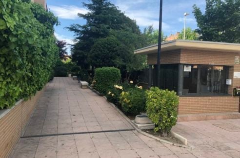 Entrada-492x324