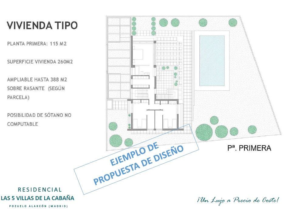 Planta-Primera