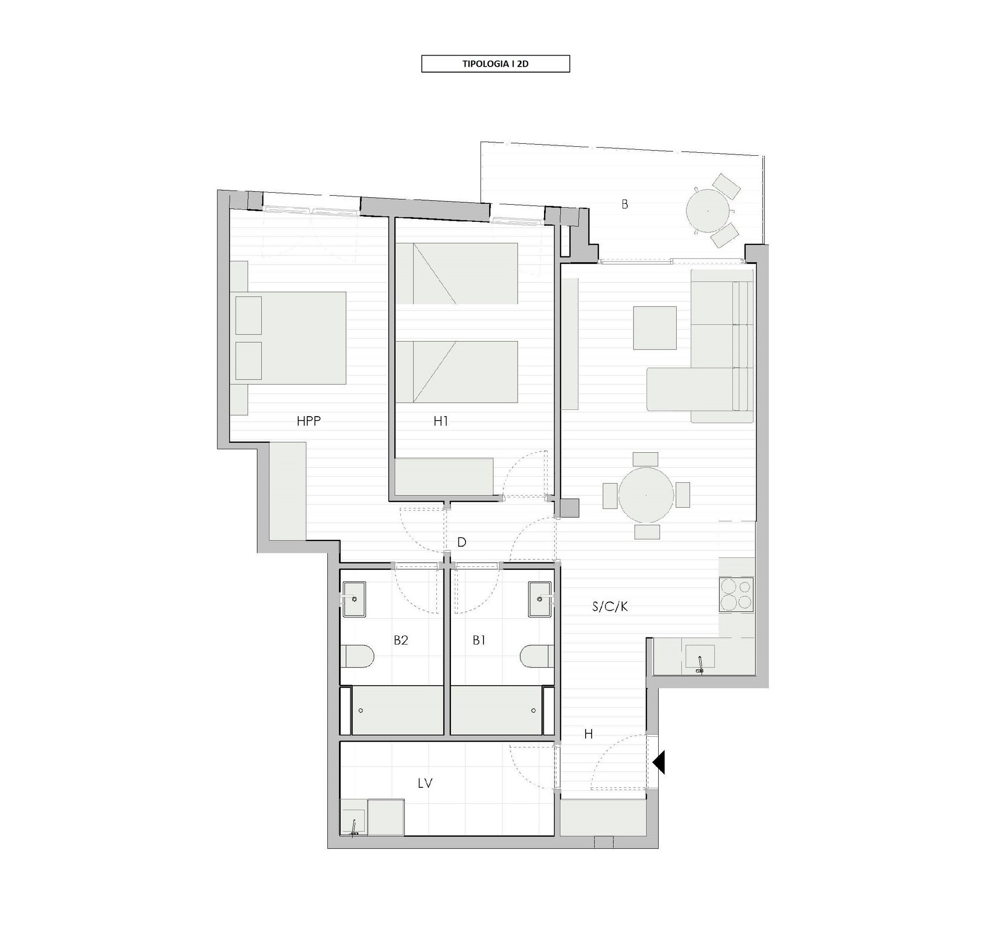 VP-2D-I+T