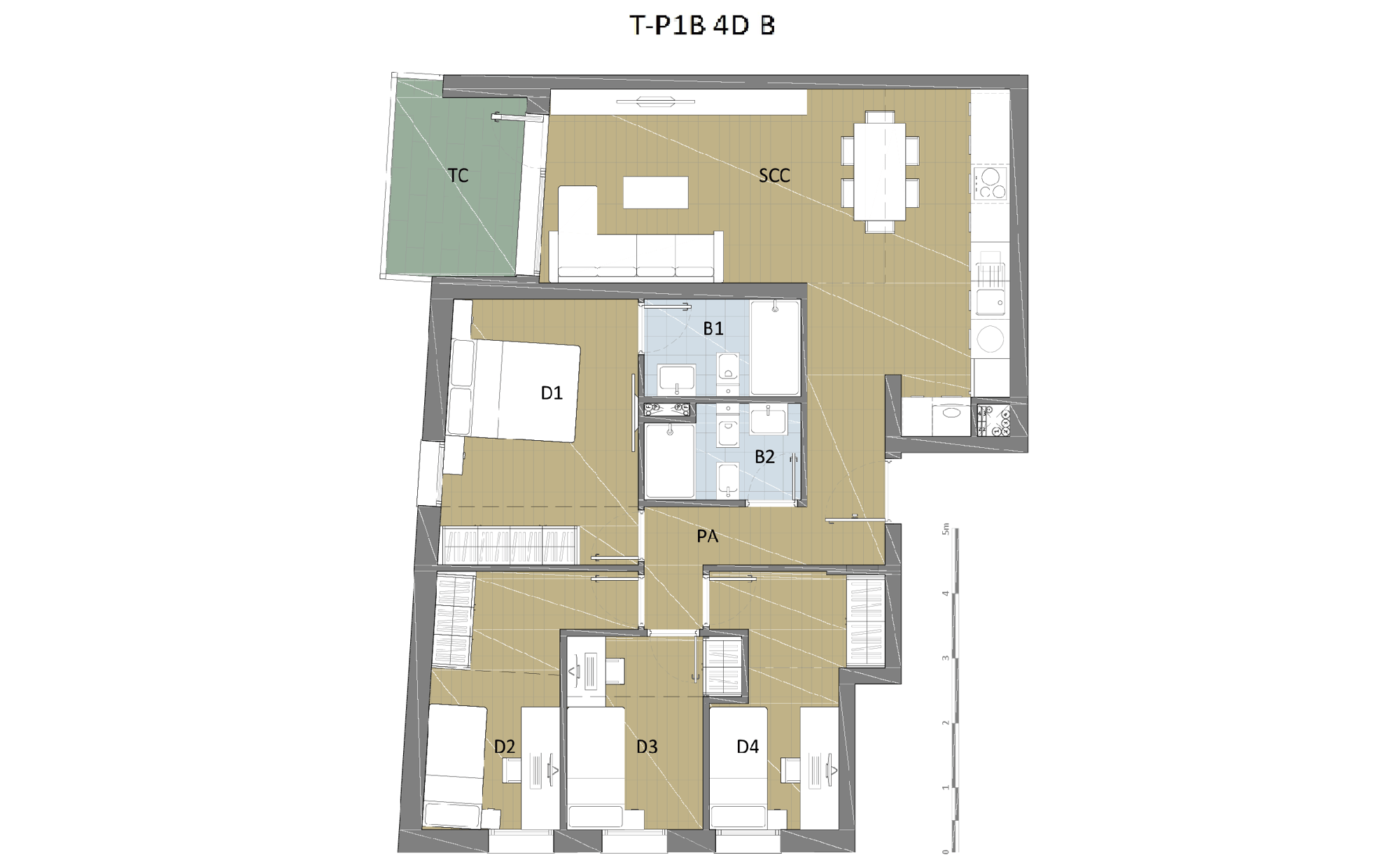 T-P1B-4DB