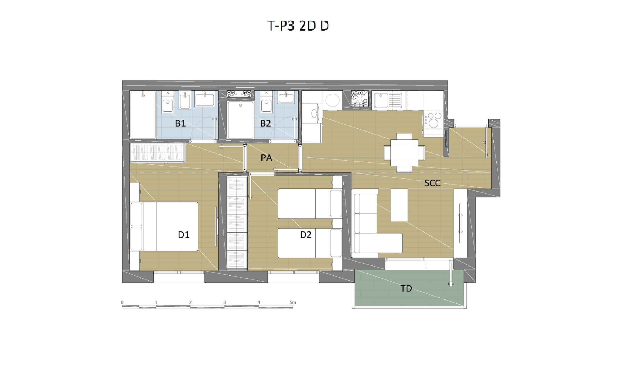 T-P3-2DD